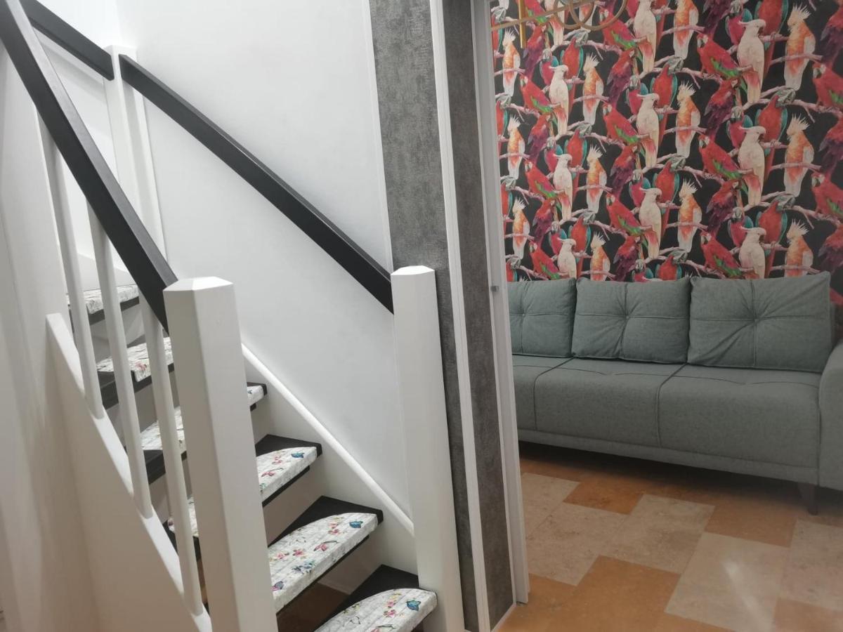 Cezari Aparthotel 브라쇼브 외부 사진