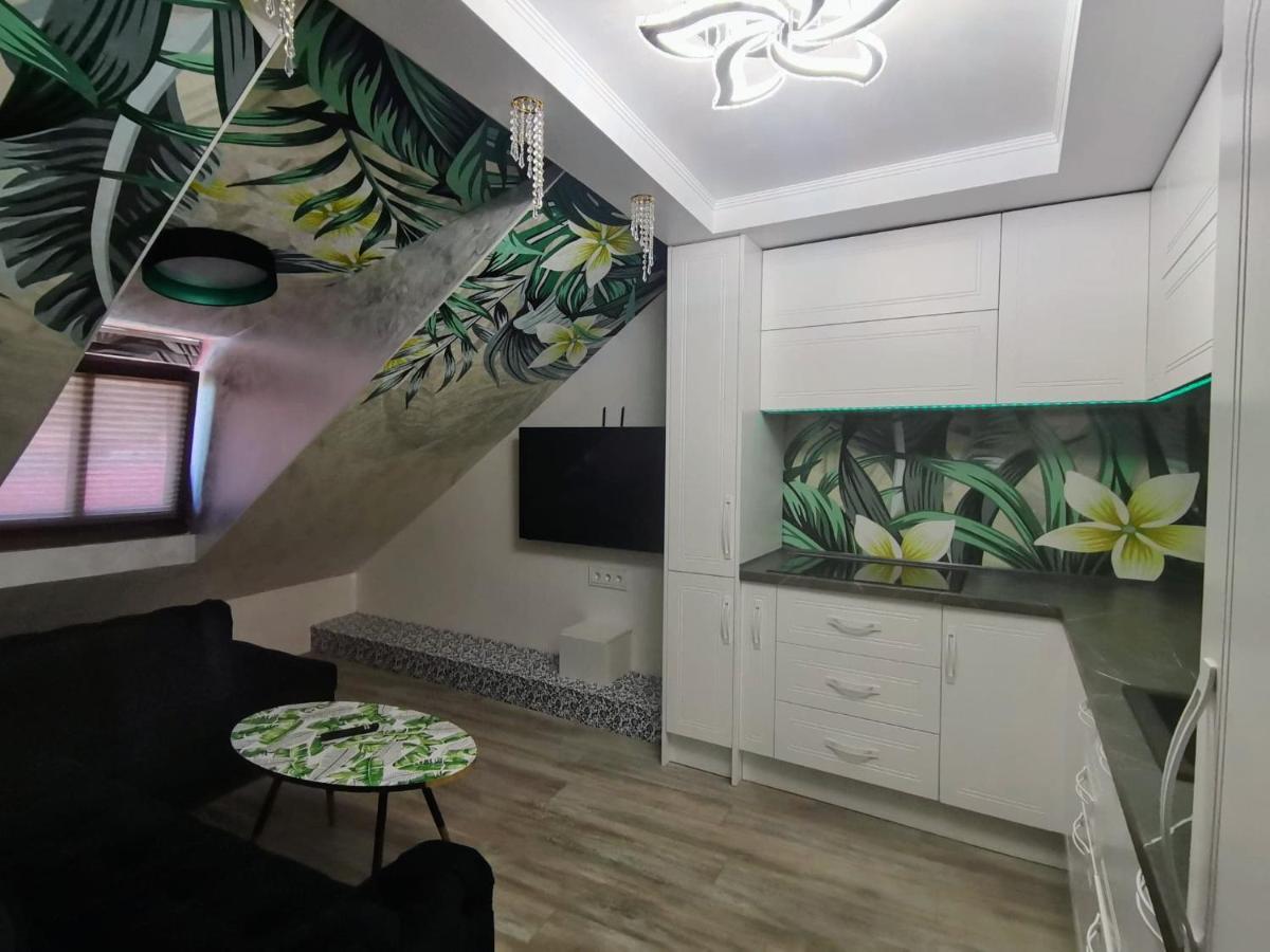 Cezari Aparthotel 브라쇼브 외부 사진
